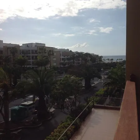 El Mocan Palm-mar